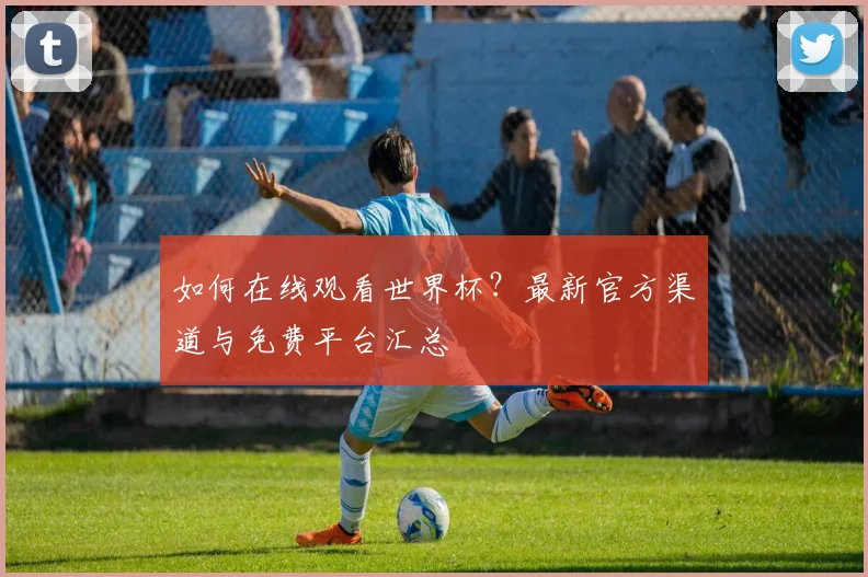 如何在线观看世界杯？最新官方渠道与免费平台汇总