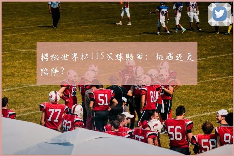 揭秘世界杯115买球赔率：机遇还是陷阱？