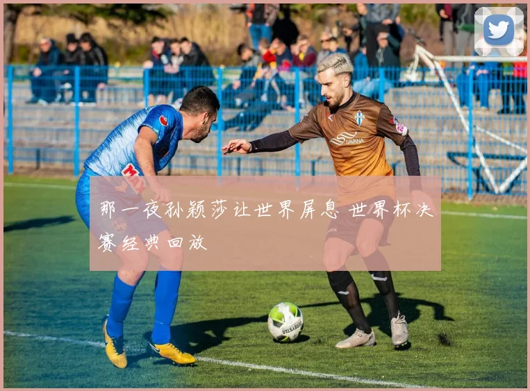 那一夜孙颖莎让世界屏息 世界杯决赛经典回放
