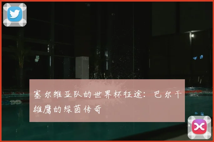 塞尔维亚队的世界杯征途:巴尔干雄鹰的绿茵传奇