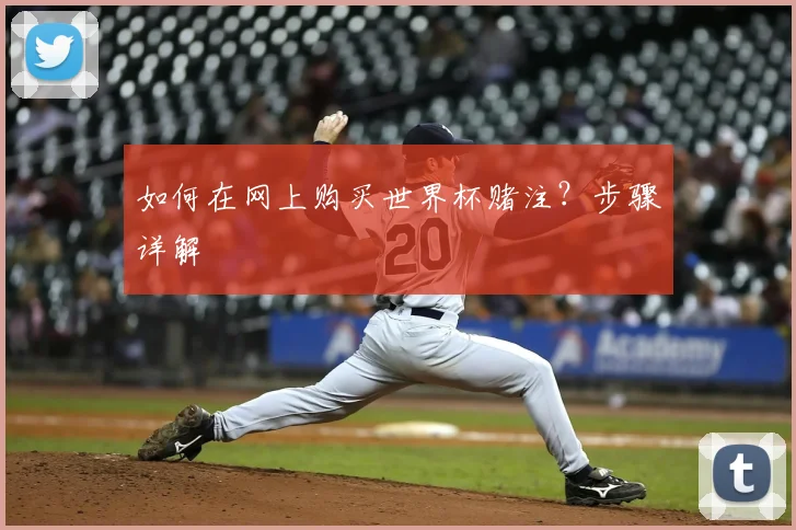 如何在网上购买世界杯赌注？步骤详解