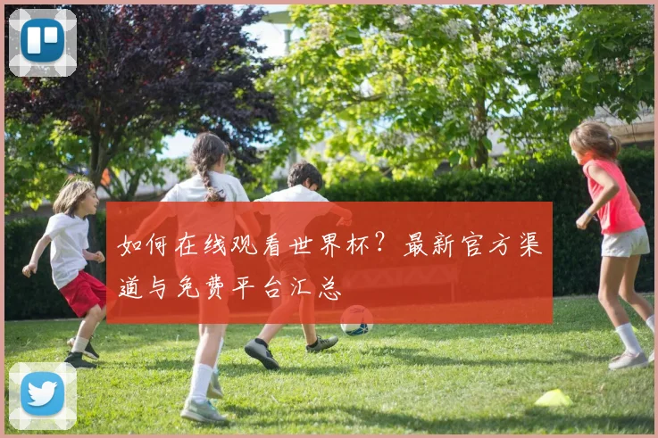 如何在线观看世界杯？最新官方渠道与免费平台汇总