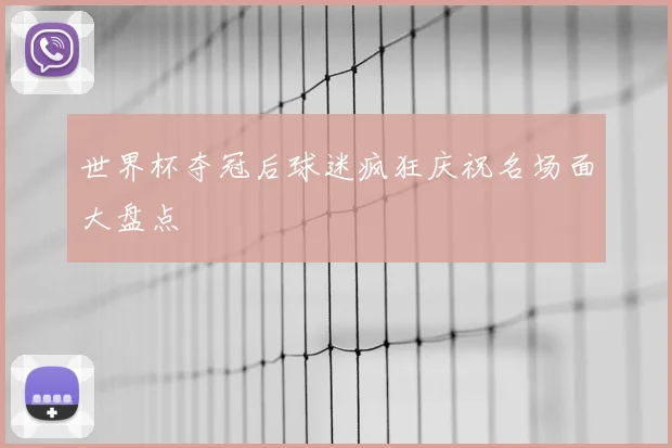 世界杯夺冠后球迷疯狂庆祝名场面大盘点