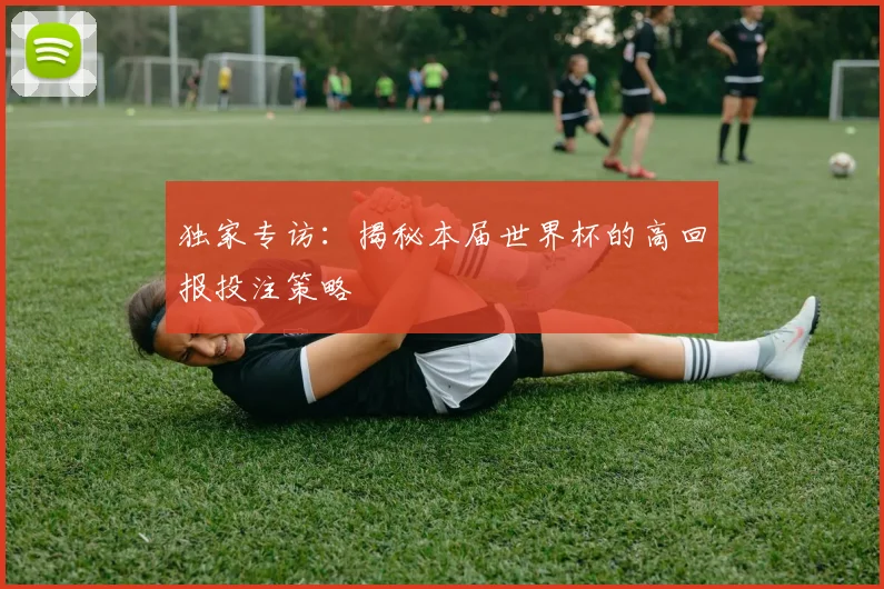 独家专访：揭秘本届世界杯的高回报投注策略
