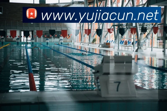 多媒体互动体验